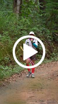 BIB:  <button type="button" onclick="openModal(26817851)" class="btn btn-primary btn-sm float-right" data-toggle="modal" data-target=".modal-high-quality">
                <i class="fa fa-download"></i> Download
                </button>